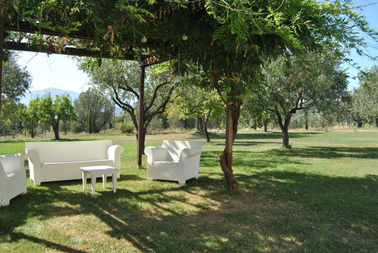 Corbezzolo Bed and Breakfast Vallo della Lucania Exterior foto