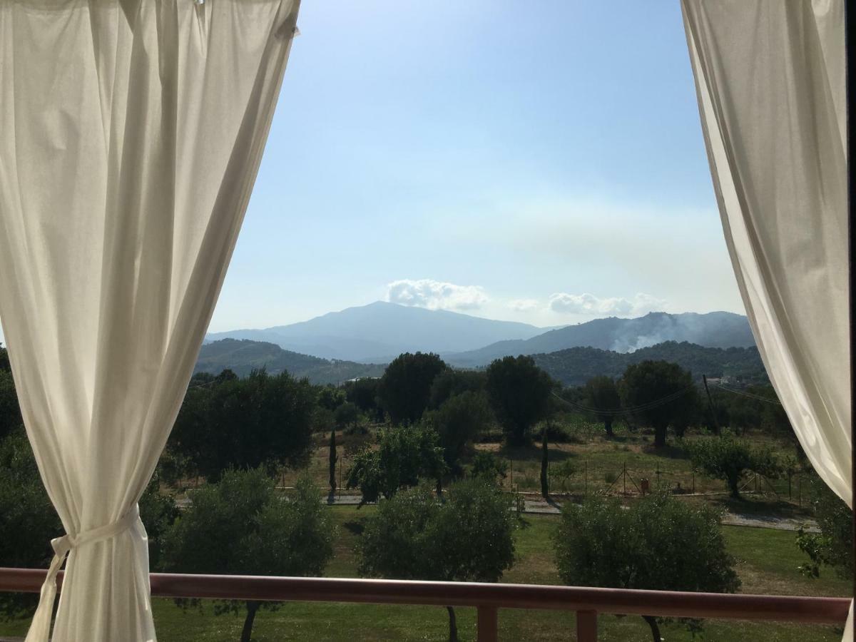 Corbezzolo Bed and Breakfast Vallo della Lucania Exterior foto