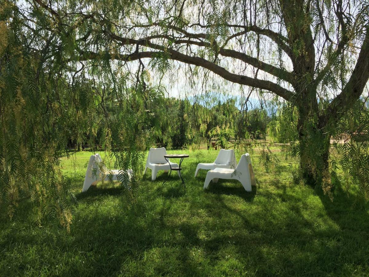 Corbezzolo Bed and Breakfast Vallo della Lucania Exterior foto